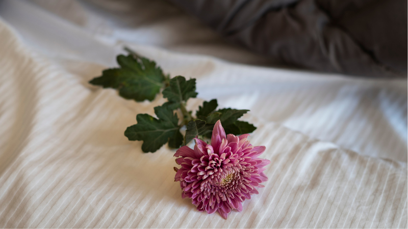 Sleep During Perimenopause: Science-Based Strategies