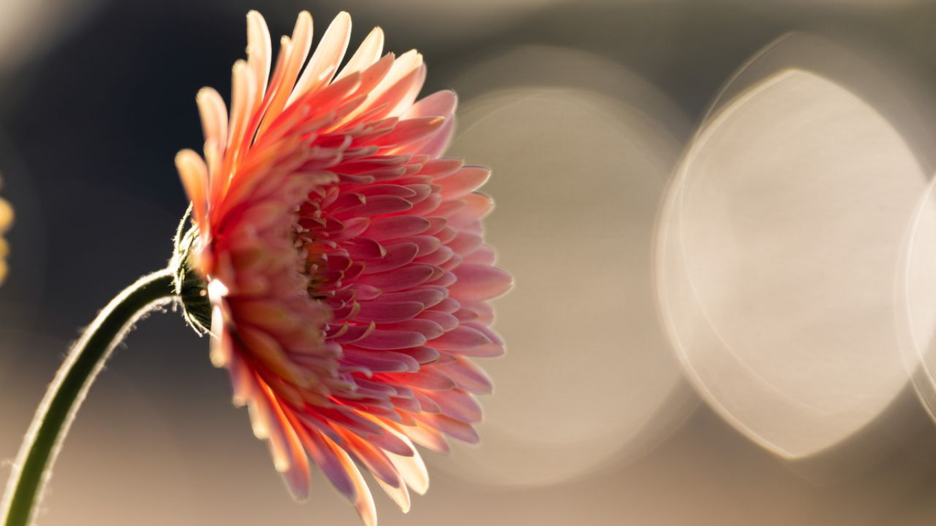 Hot Flashes in Women: More Than a Moment of Feeling Overheated