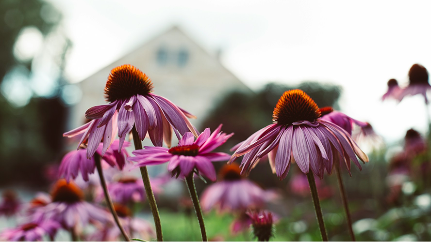 All Phases of "Menopause": Understanding What's Really Happening