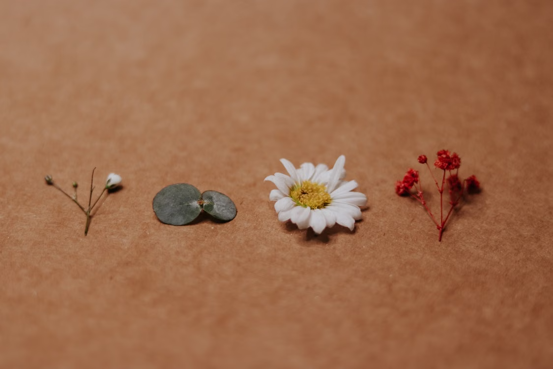 The History of Perimenopause: From Silent Symptoms to Scientific Recognition